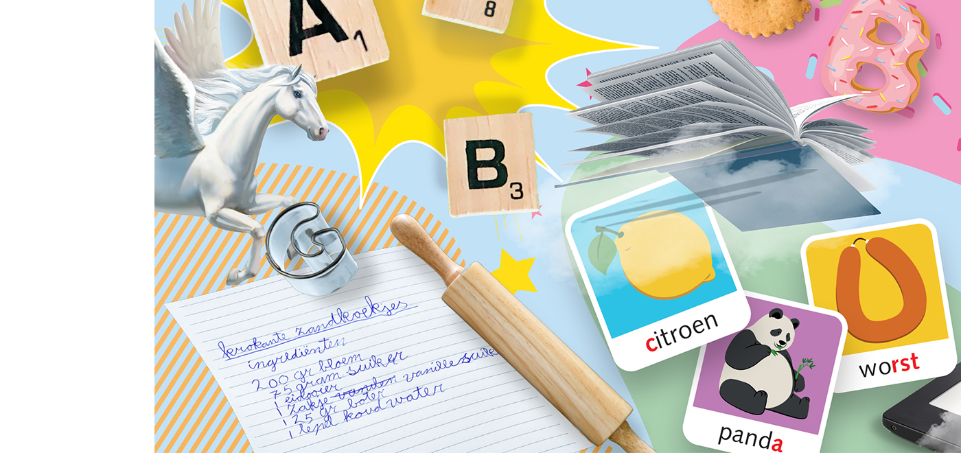 Nieuw Nederlands Junior Taal en Spelling