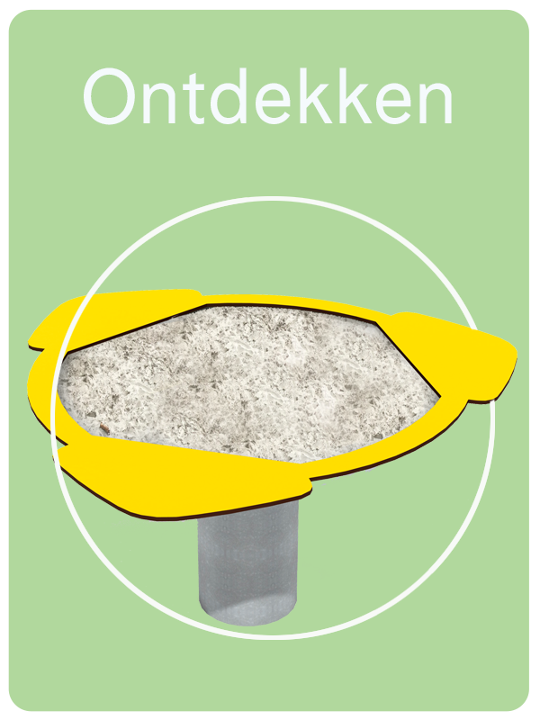 Ontdekken