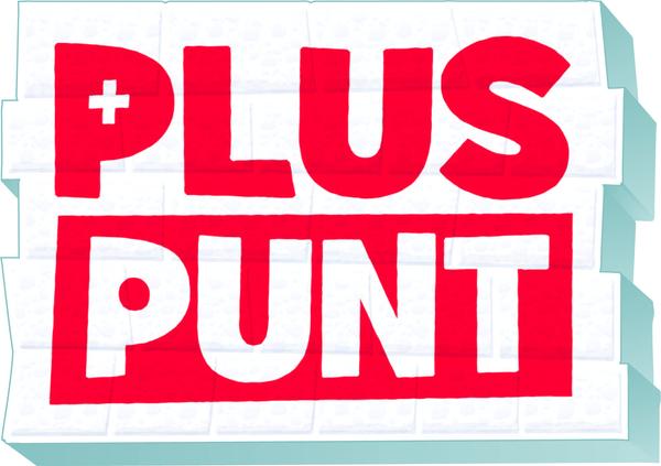 Werken met Pluspunt - Basis papier