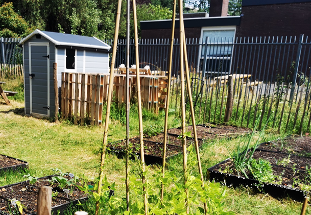 Schooltuin 2
