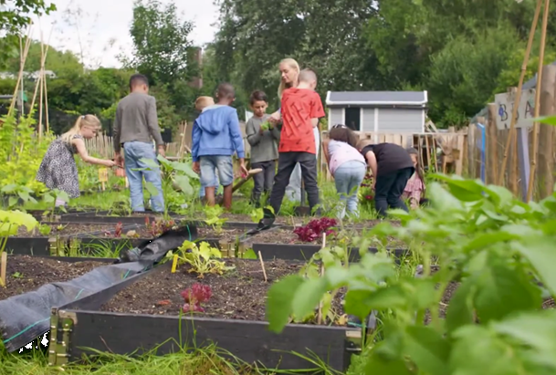 Schooltuin 1