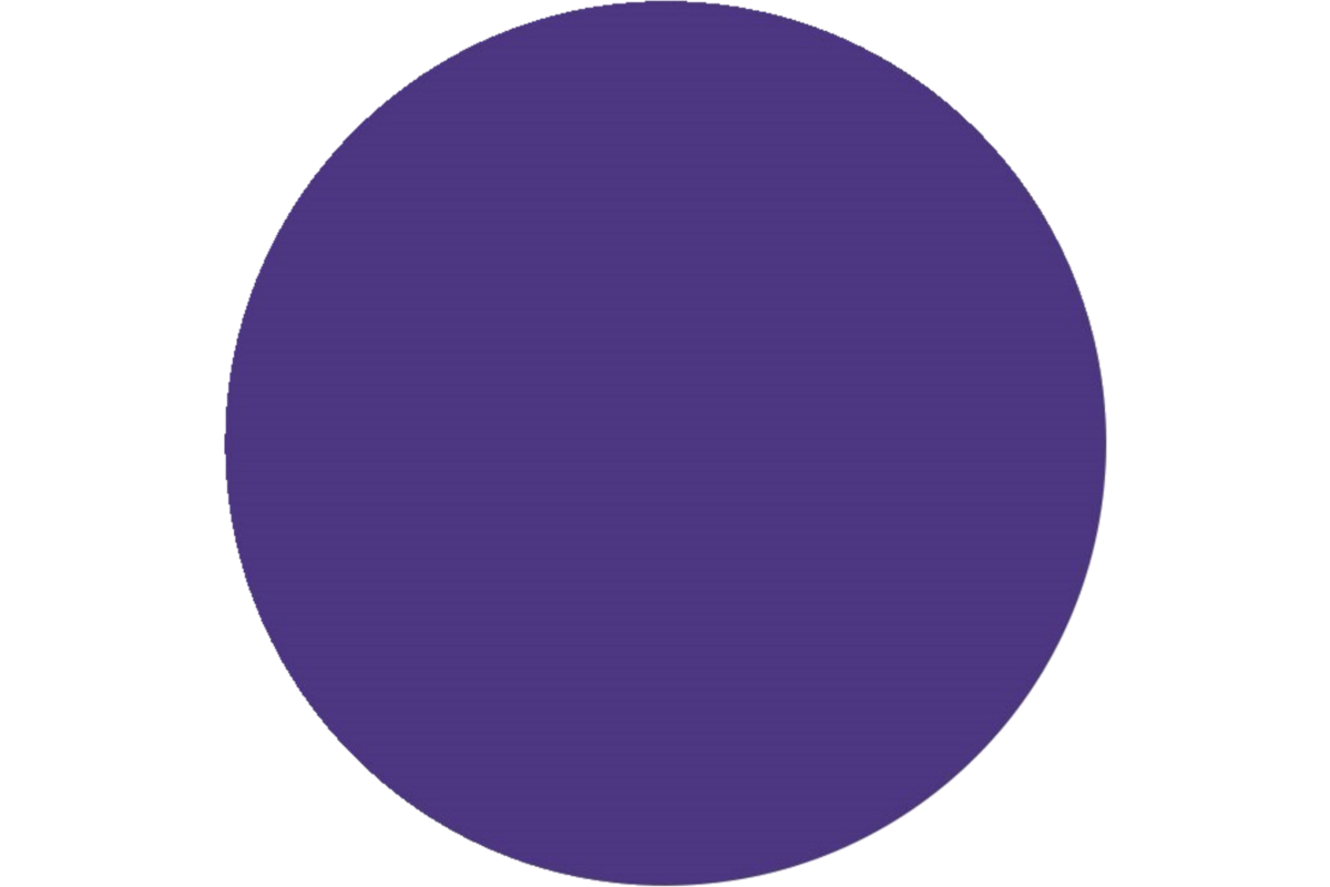 Plakkaatverf | de Rolf groep | topcolor, paars 1000 ml