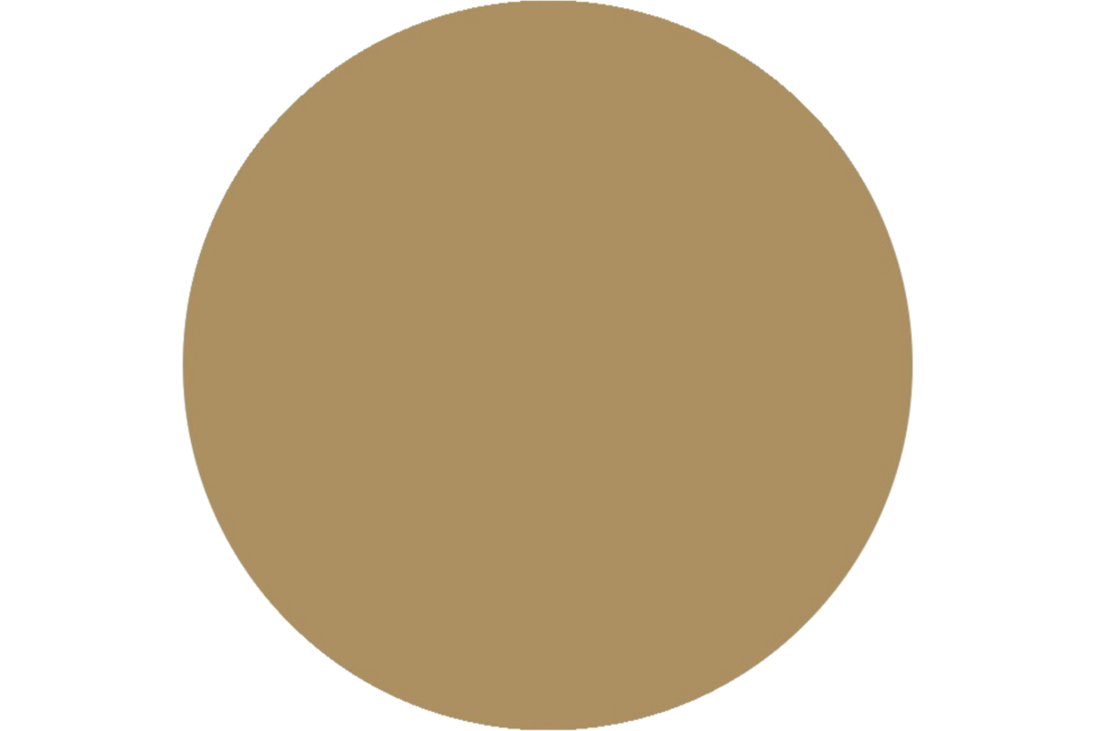 Plakkaatverf | de Rolf groep | topcolor, goud 1000 ml