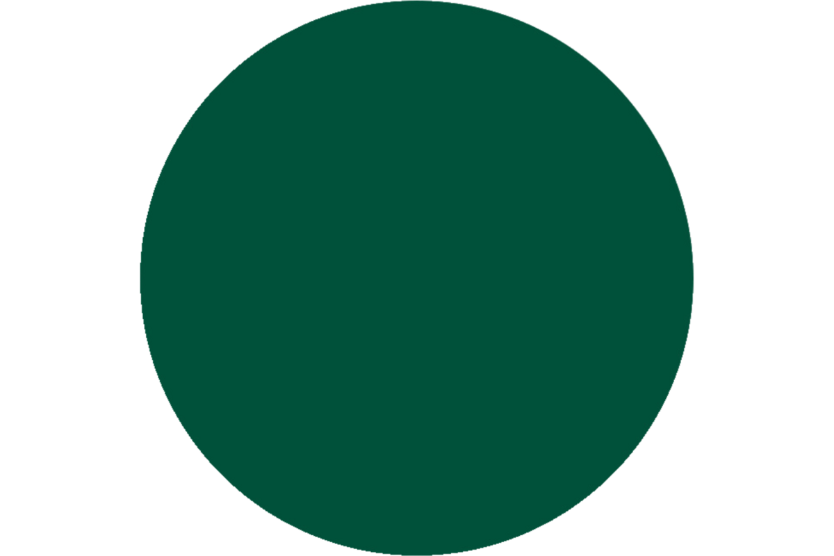 Plakkaatverf Creall Color+ 1000 ml donkergroen