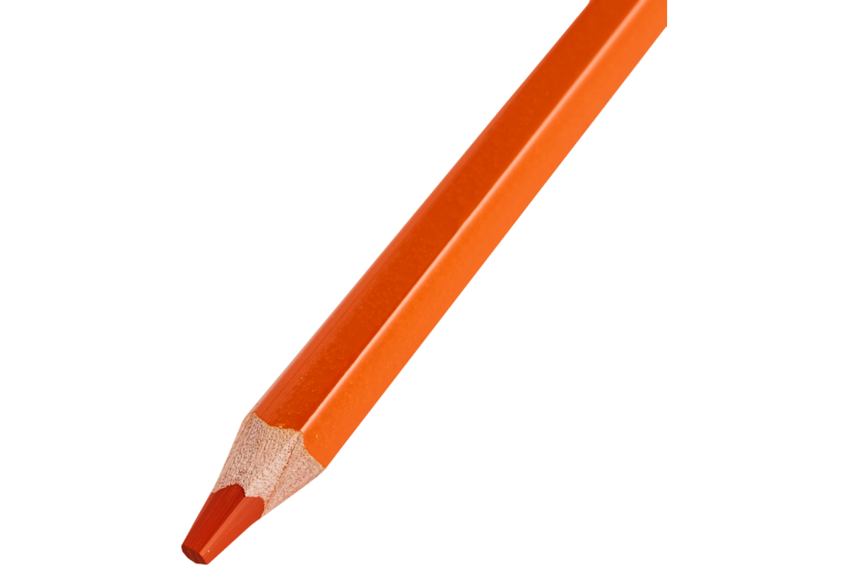 Kleurknotsen | de Rolf groep | 10 mm oranje, 12 stuks
