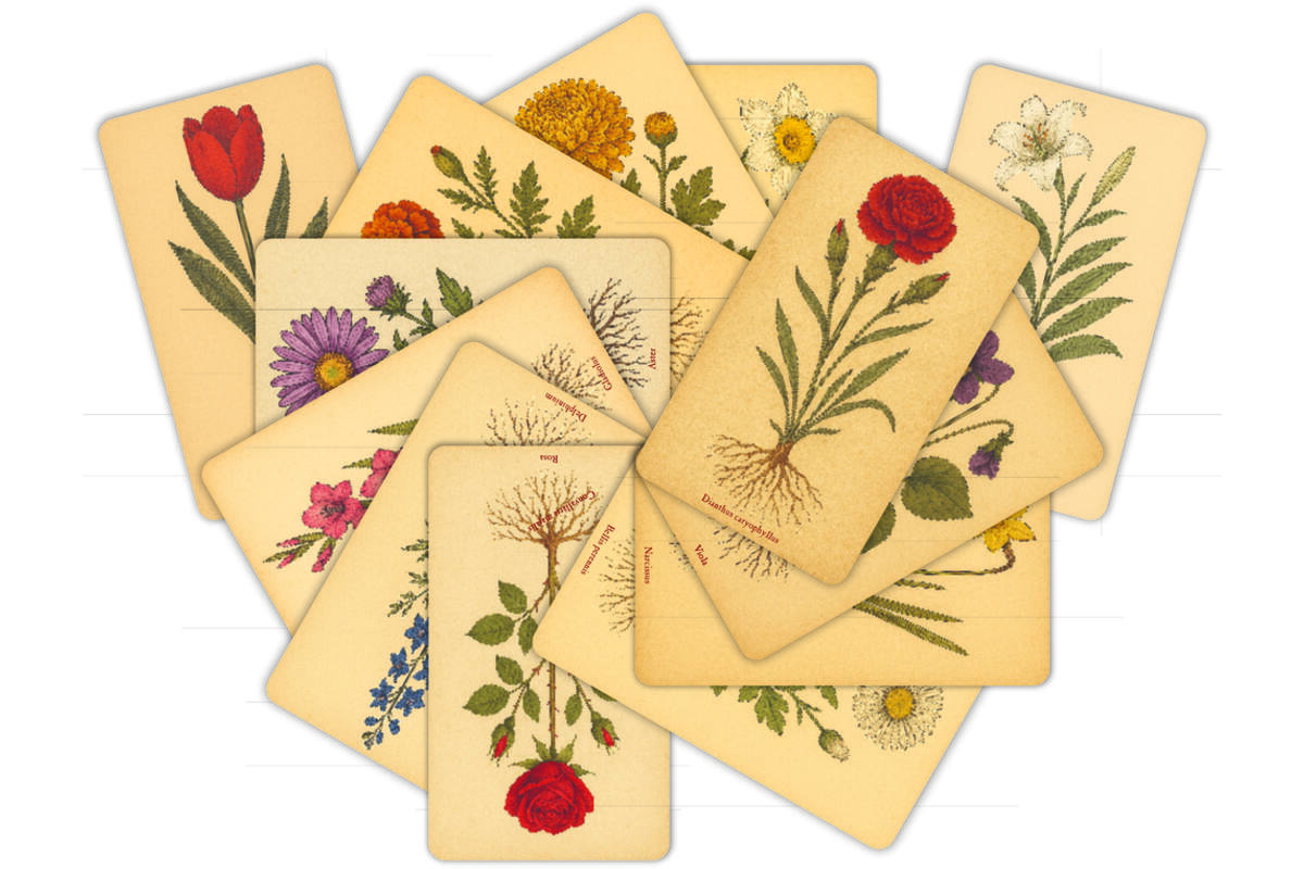 Patroonplaten botanische bloemen 16 x 27 cm, 14 stuks