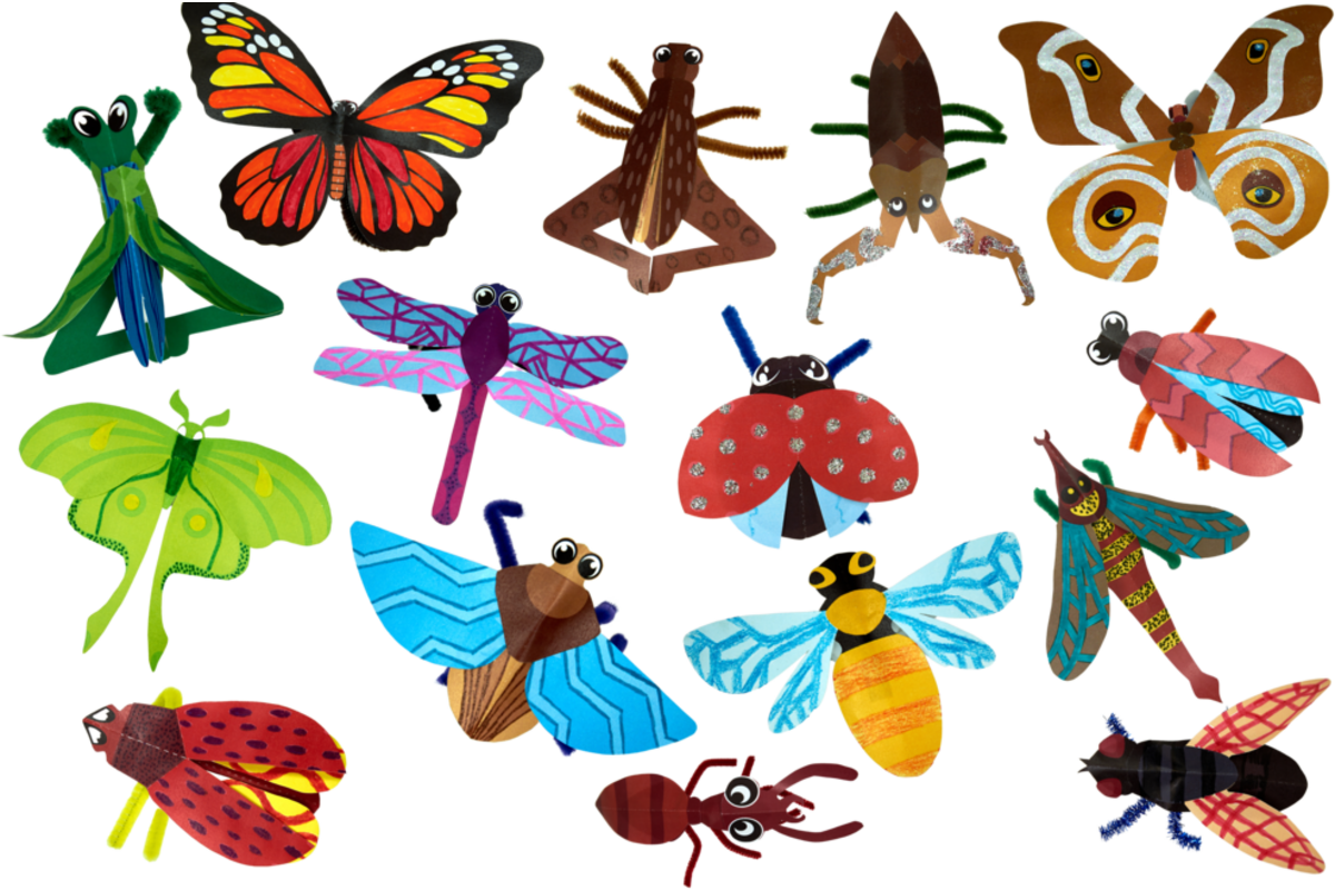 Insecten gestanst, in diverse uitvoeringen, 64 stuks