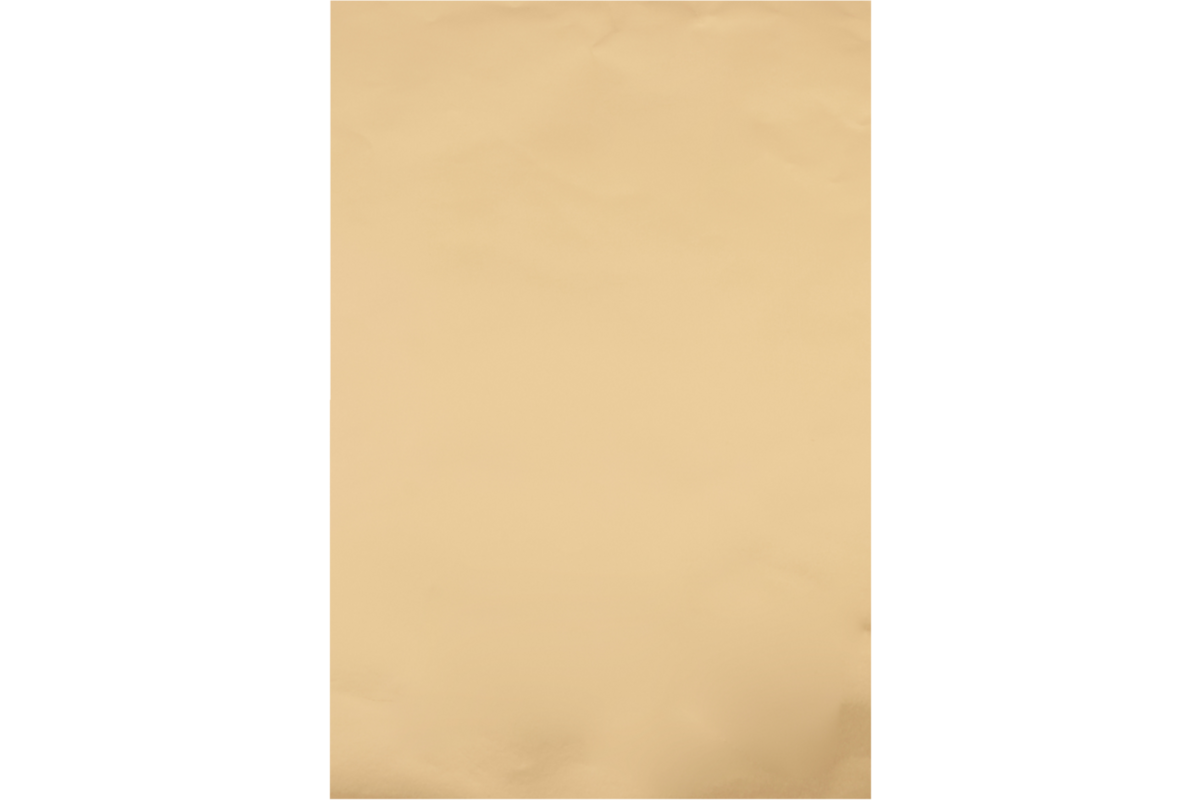 Goudpapier 50 x 65 cm, 10 vel 60 gram