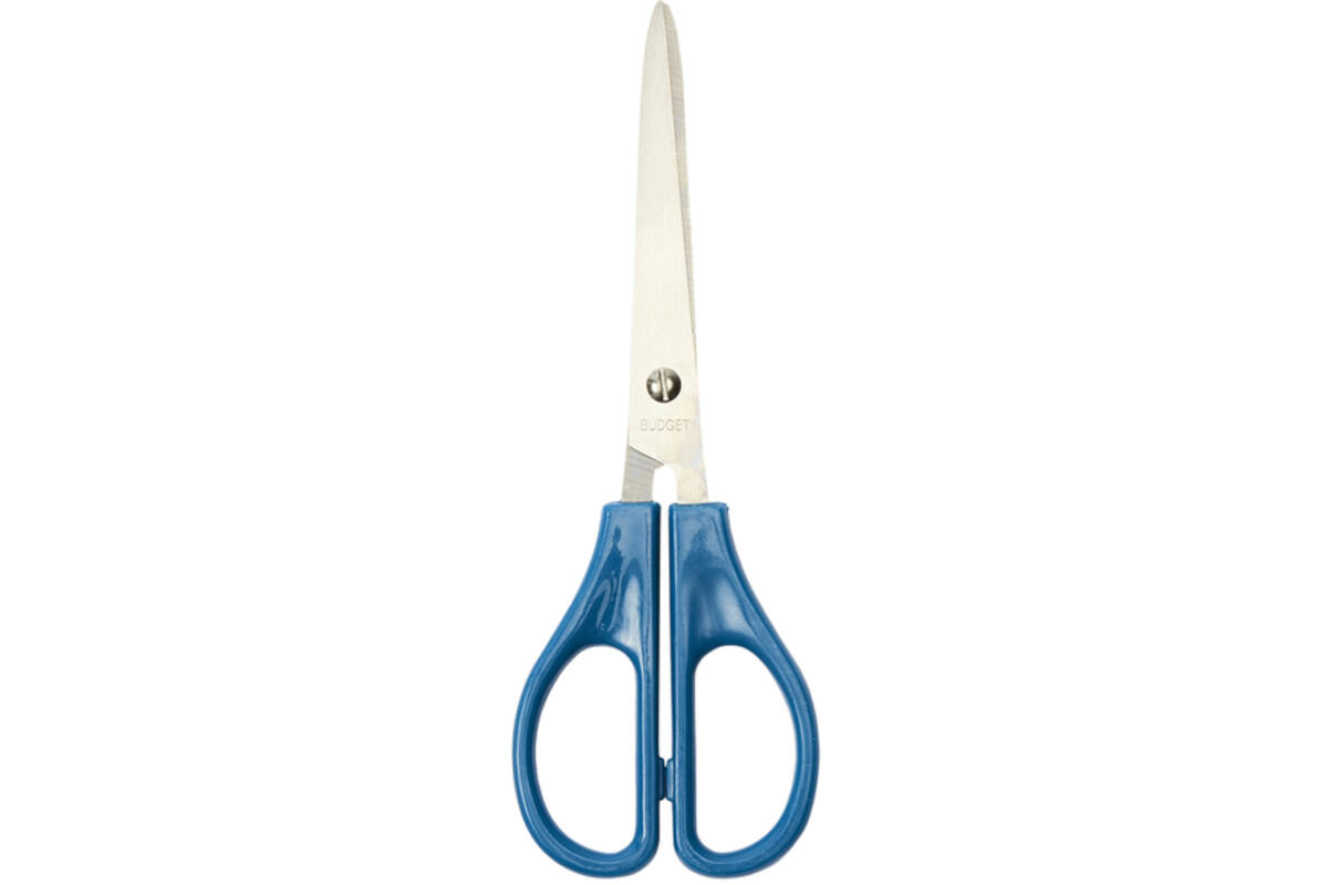 Schaar 15 cm budget met spitse punten