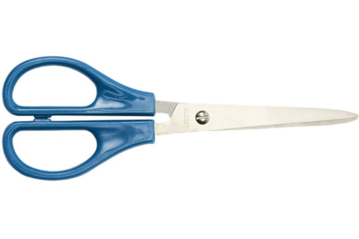 Schaar 15 cm budget met spitse punten