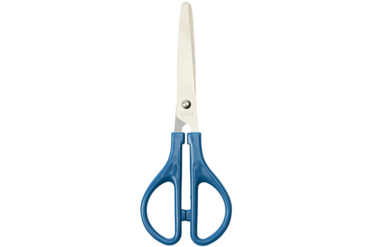 Schaar 15 cm Budget met ronde punten