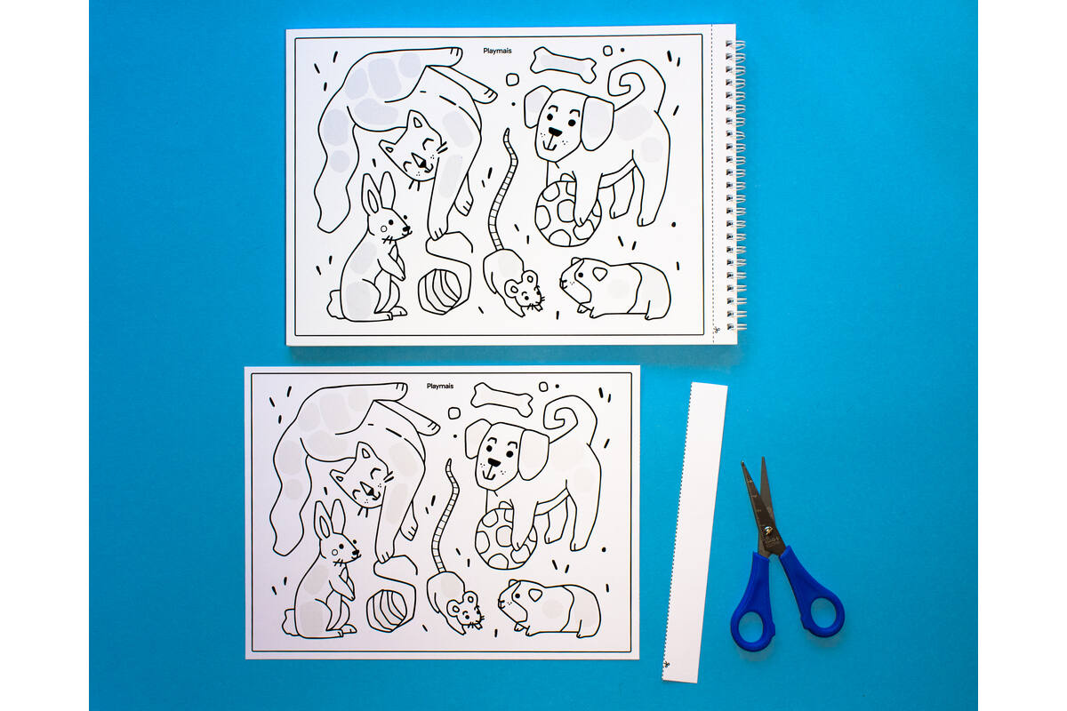 PlayMais® Classic EDULINE groot