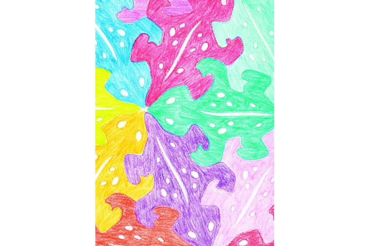 Dieren puzzel sjablonen 12 x 18 cm, 12 stuks