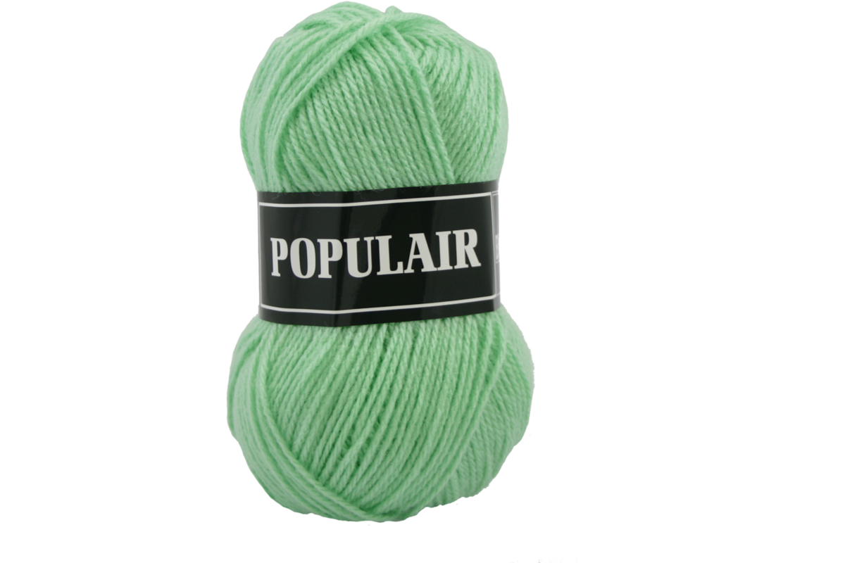 Breigaren populair acryl mint 50 gram, 120 meter