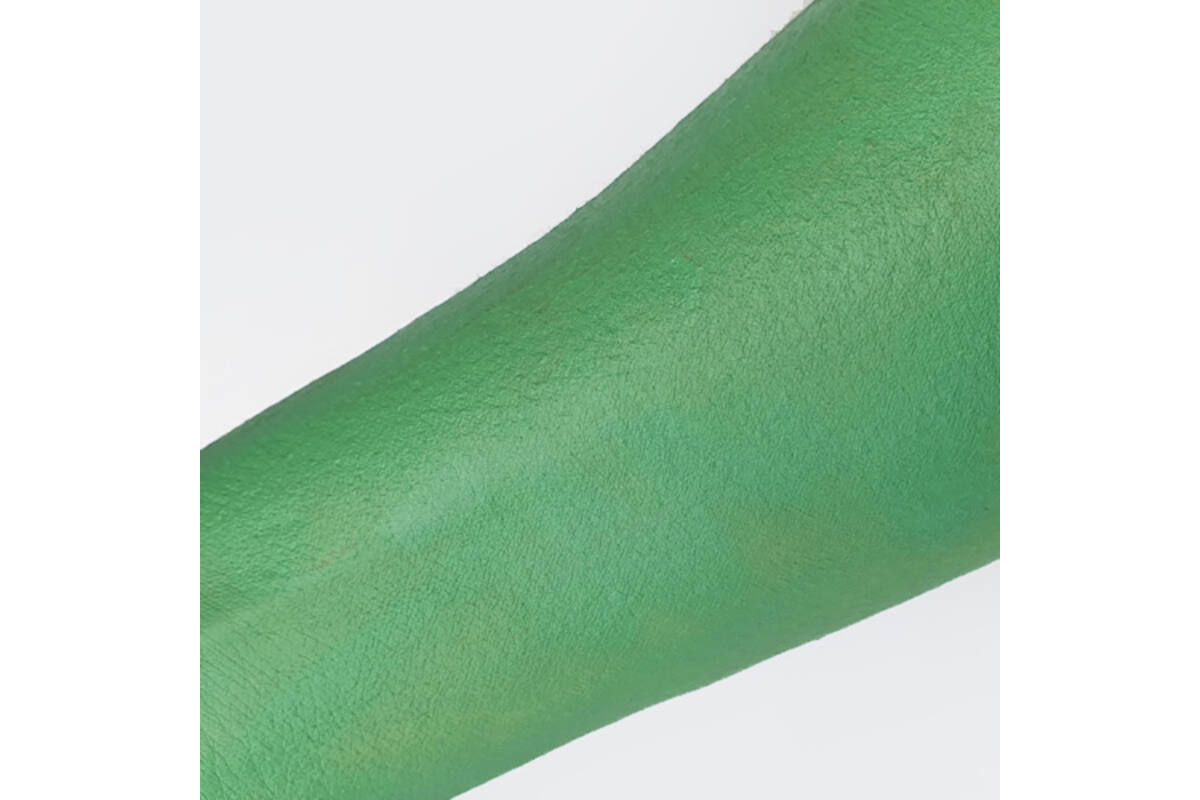 Schminkpallet professional, 12 kleuren