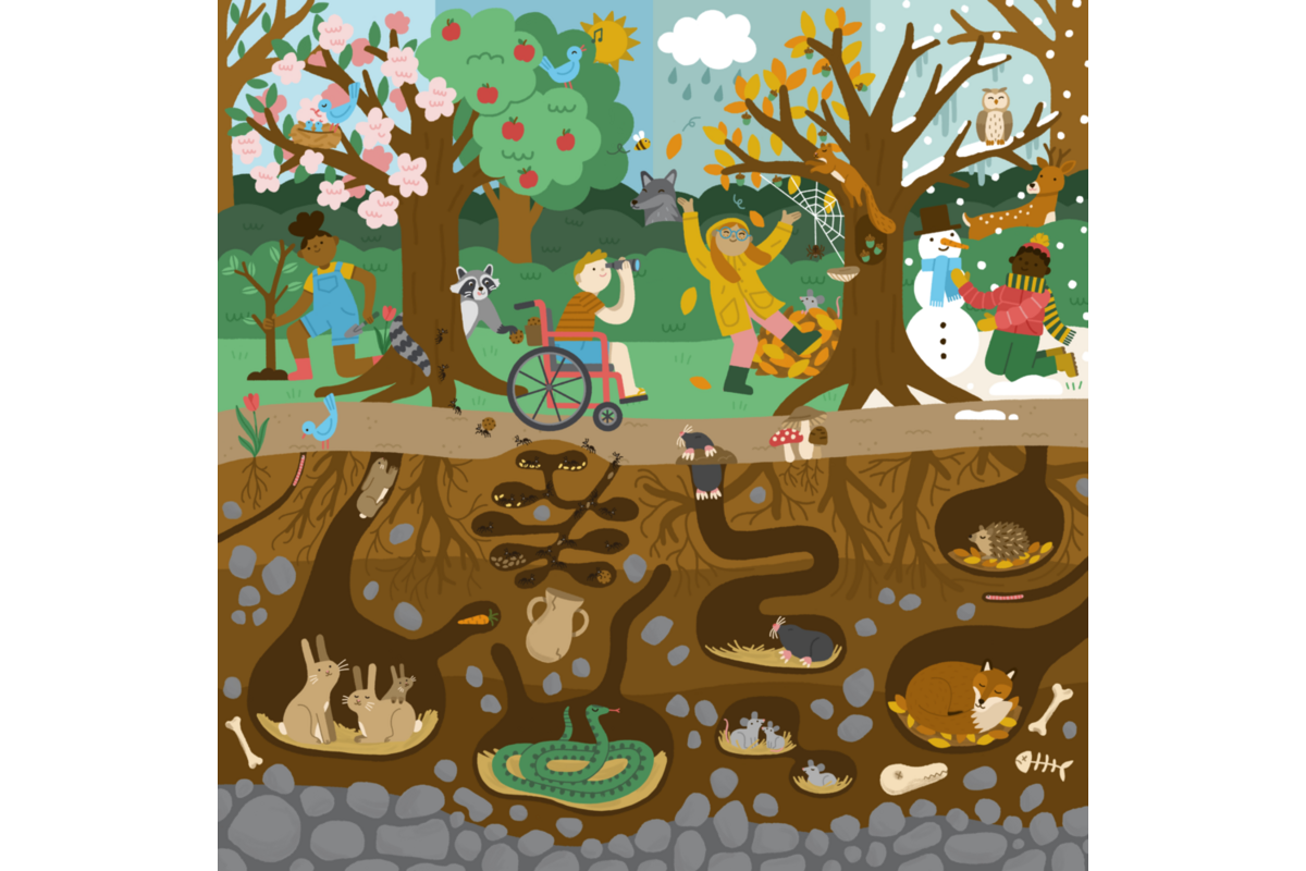 Rolf Puzzels - Puzzel boven en onder de grond - bos