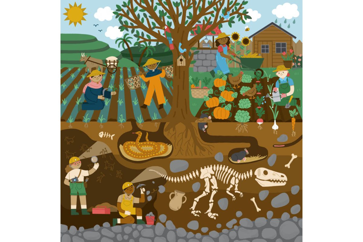 Rolf Puzzels - Puzzel boven en onder de grond - voedsel verbouwen