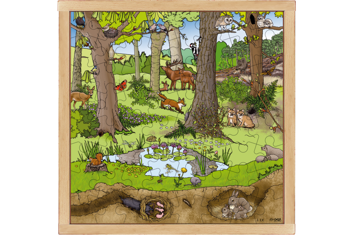 Rolf Puzzels - Puzzel bos lente-zomer, 64 stukjes