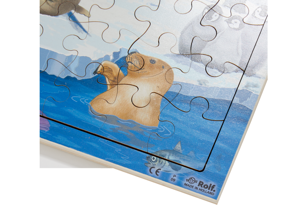 Rolf Connect - Puzzel Poolgebieden, 81 stukjes
