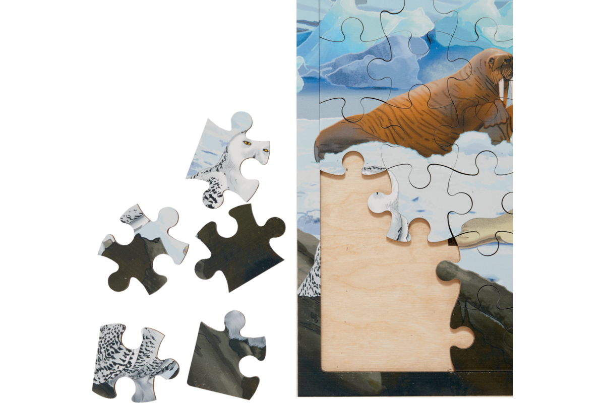 Rolf Connect - Puzzel Poolgebieden, 81 stukjes