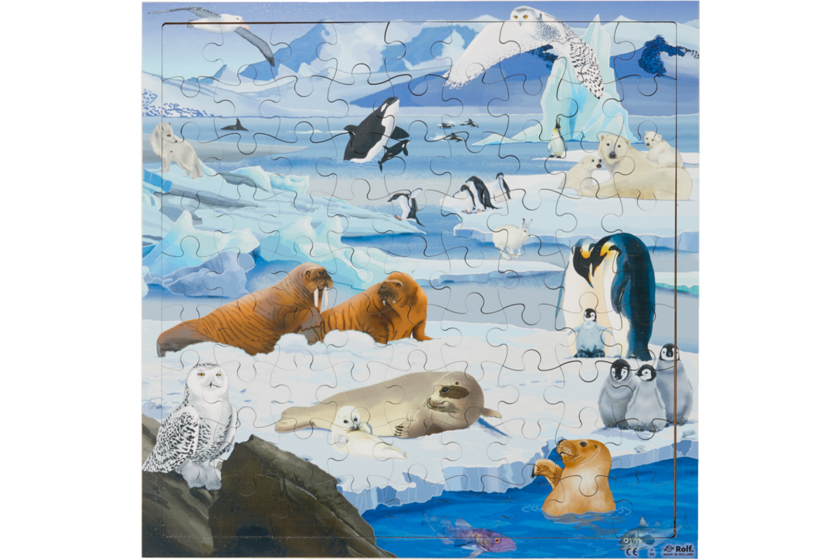 Rolf Connect - Puzzel Poolgebieden, 81 stukjes
