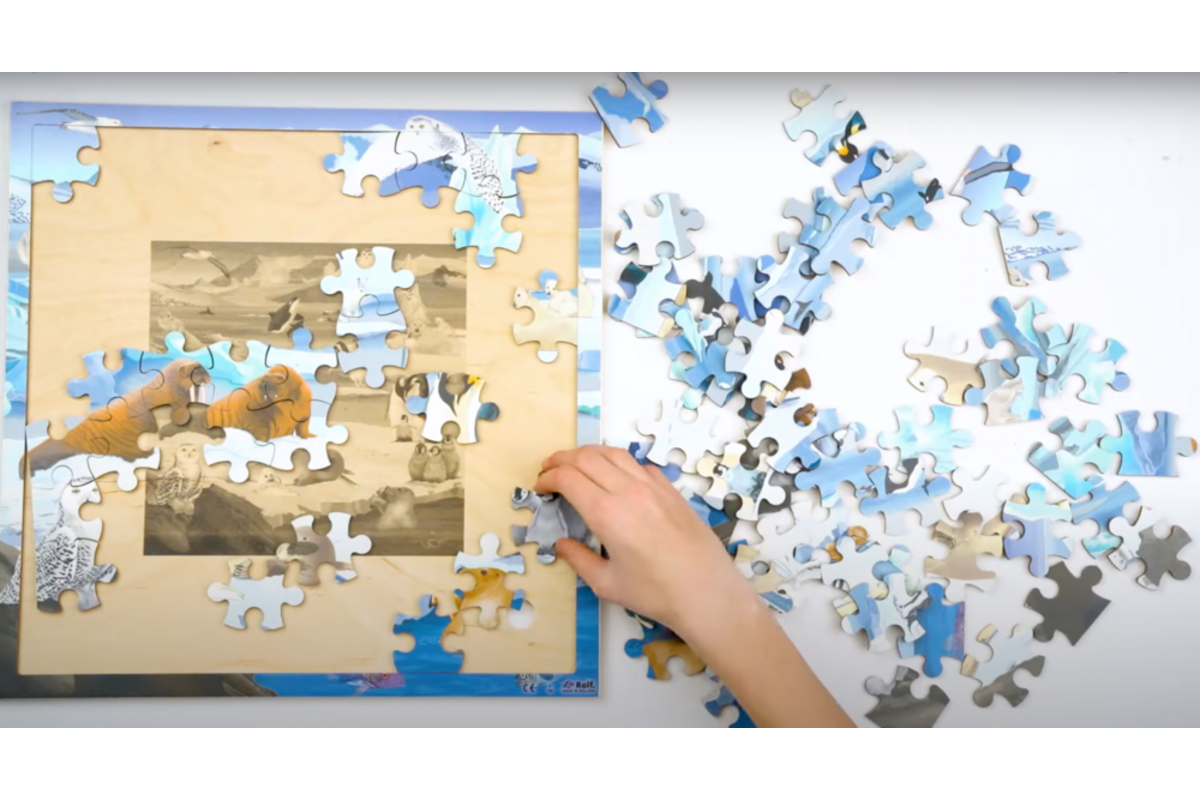 Rolf Connect - Puzzel Poolgebieden, 81 stukjes
