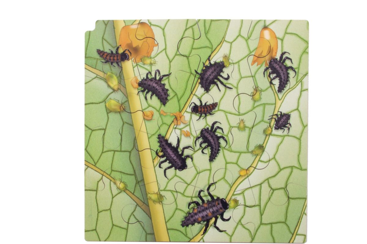 Rolf Connect - Groeipuzzel lieveheersbeestje 28x28 cm 4-lagen 86 stukjes