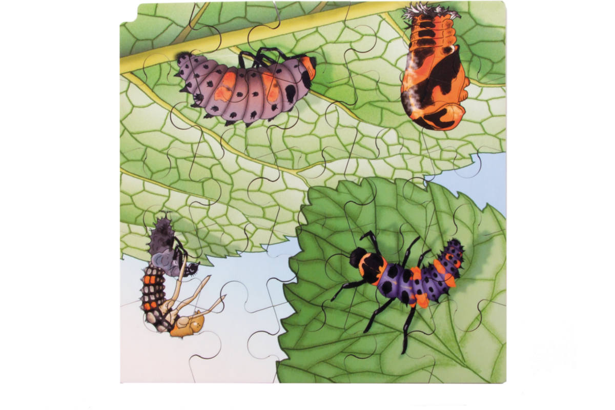 Rolf Connect - Groeipuzzel lieveheersbeestje 28x28 cm 4-lagen 86 stukjes