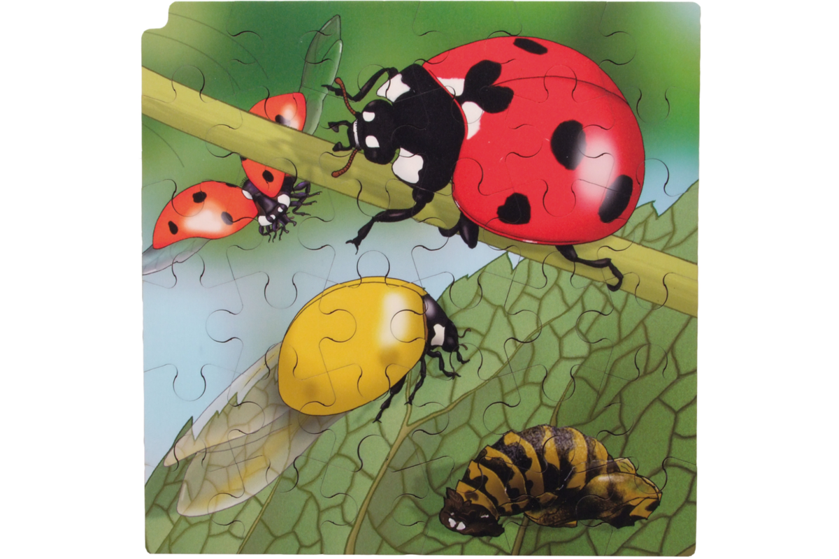 Rolf Connect - Groeipuzzel lieveheersbeestje 28x28 cm 4-lagen 86 stukjes