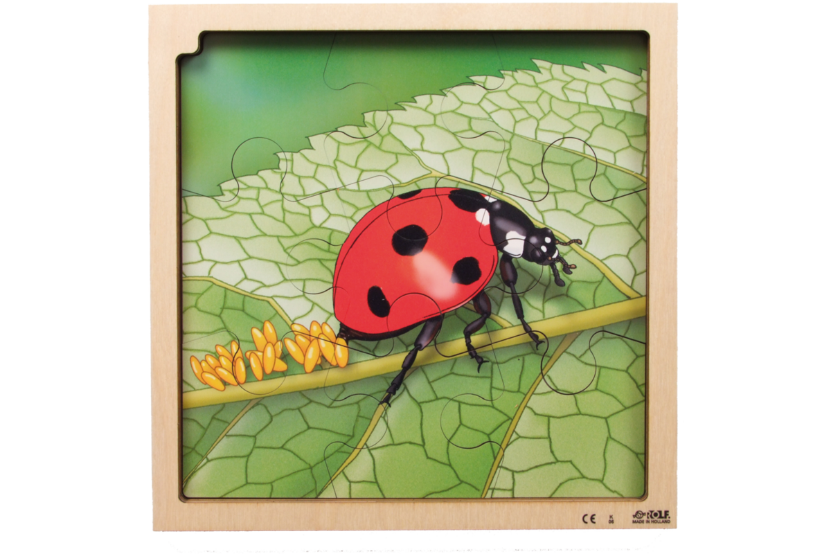 Rolf Connect - Groeipuzzel lieveheersbeestje 28x28 cm 4-lagen 86 stukjes