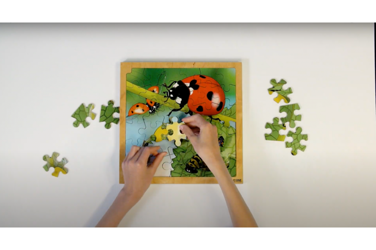 Rolf Connect - Groeipuzzel lieveheersbeestje 28x28 cm 4-lagen 86 stukjes