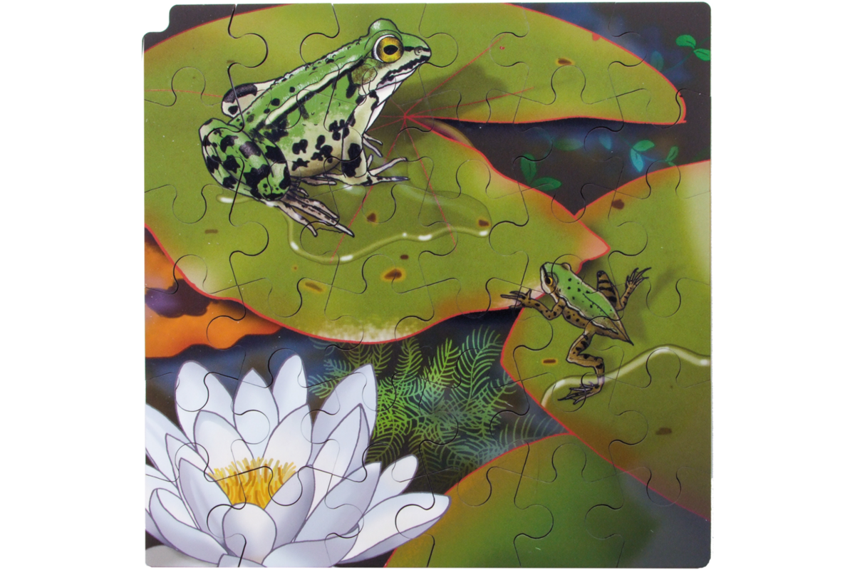 Rolf Connect - Groeipuzzel kikker 28 x 28 cm 4 lagen 86 stukjes