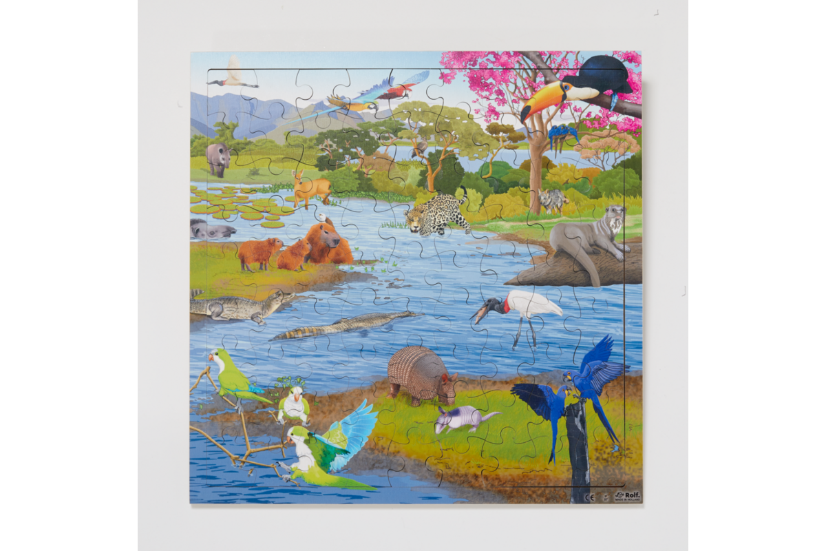 Rolf Connect - Puzzel Moerasgebied, 81 stukjes