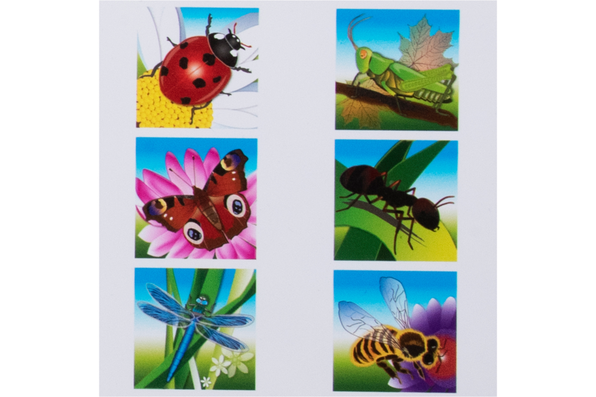 Rolf Puzzels - Puzzelserie insecten, kunststof