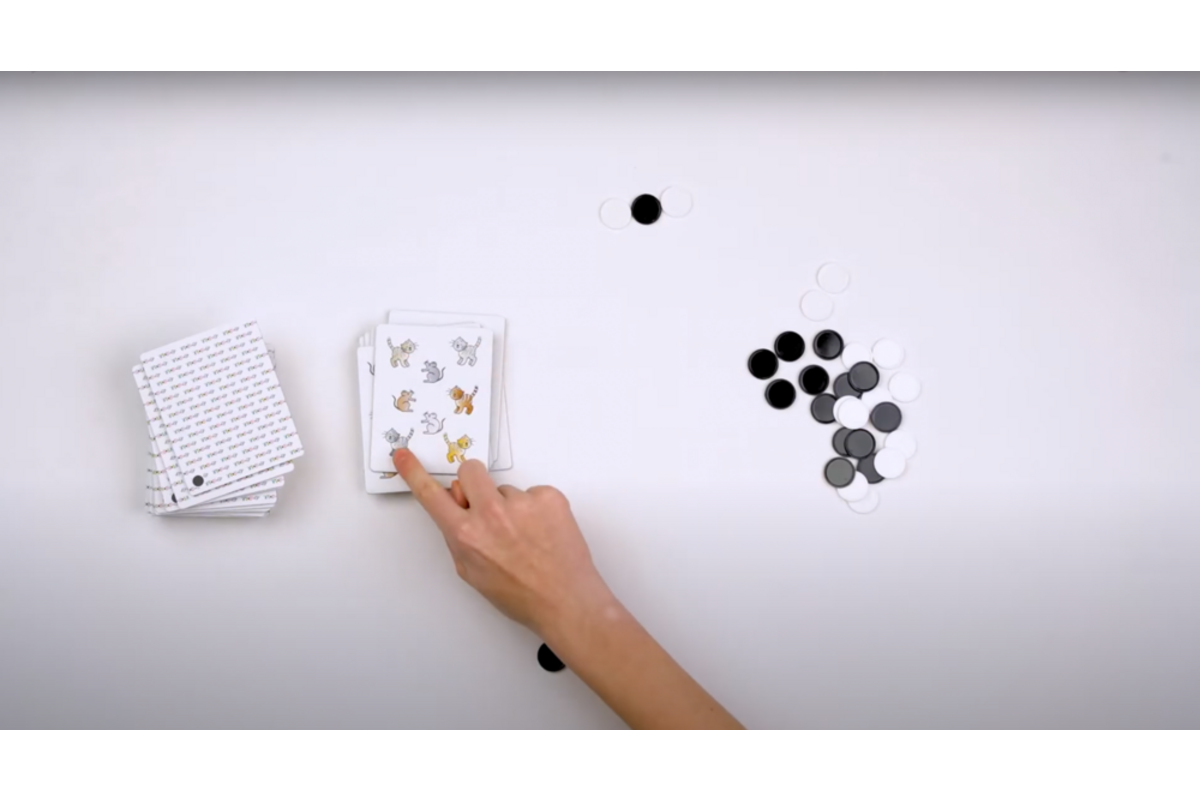Rolf Basics - Katten of muizen