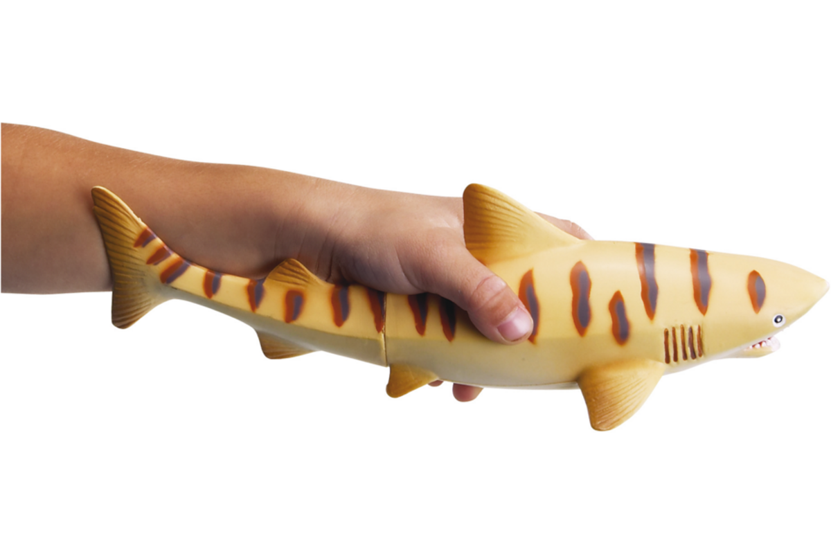 Jumbo zeedieren