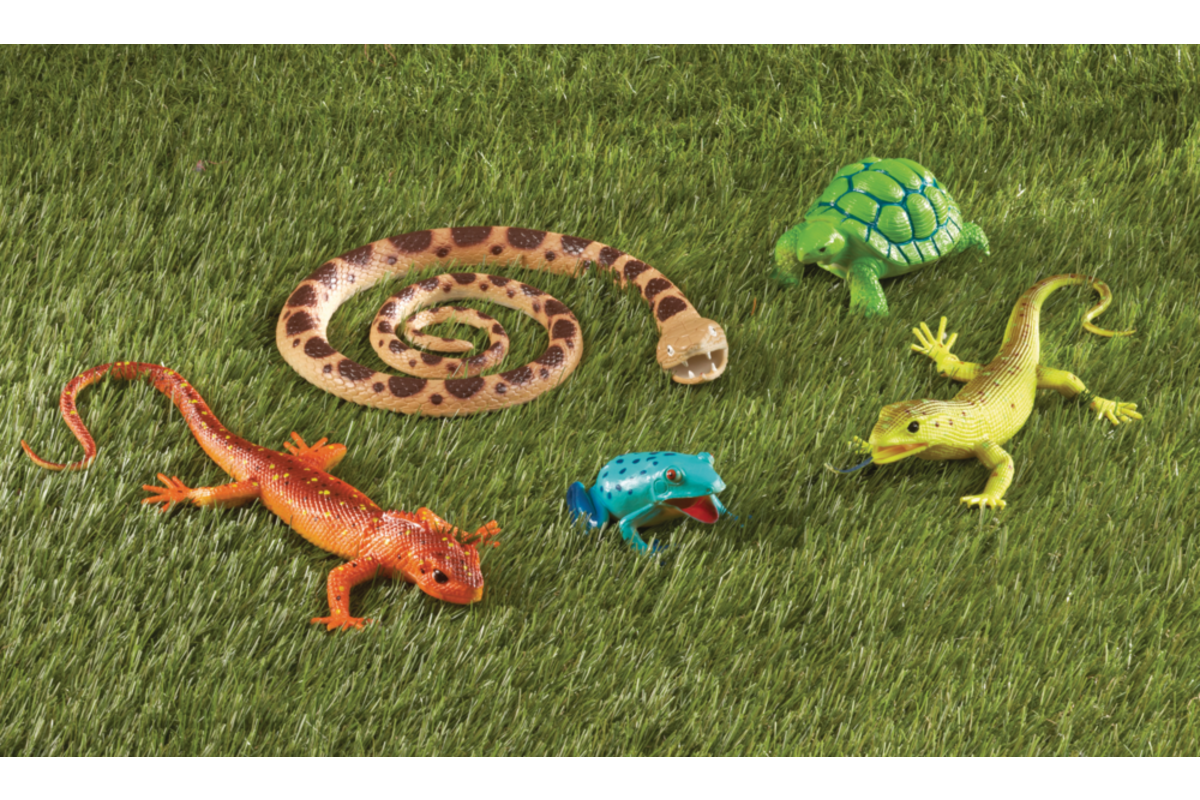 Jumbo Reptielen, Amfibieën