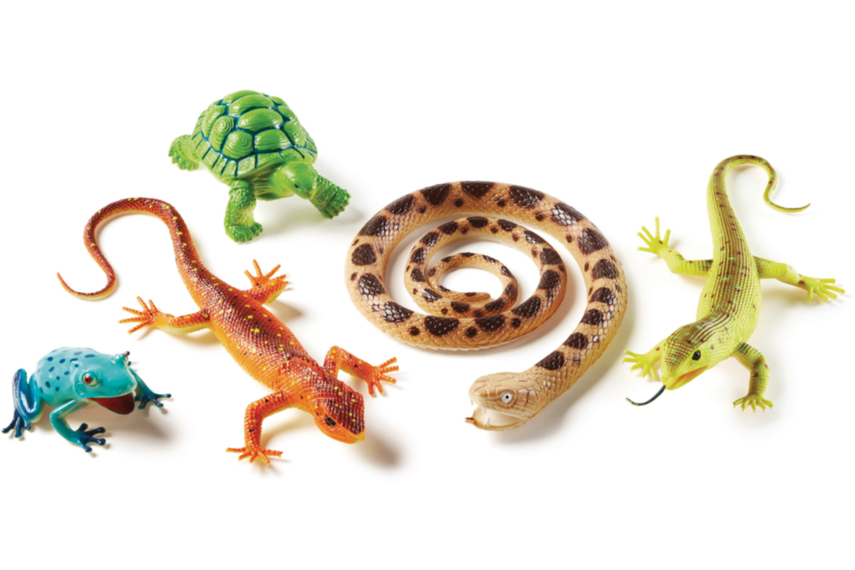 Jumbo Reptielen, Amfibieën