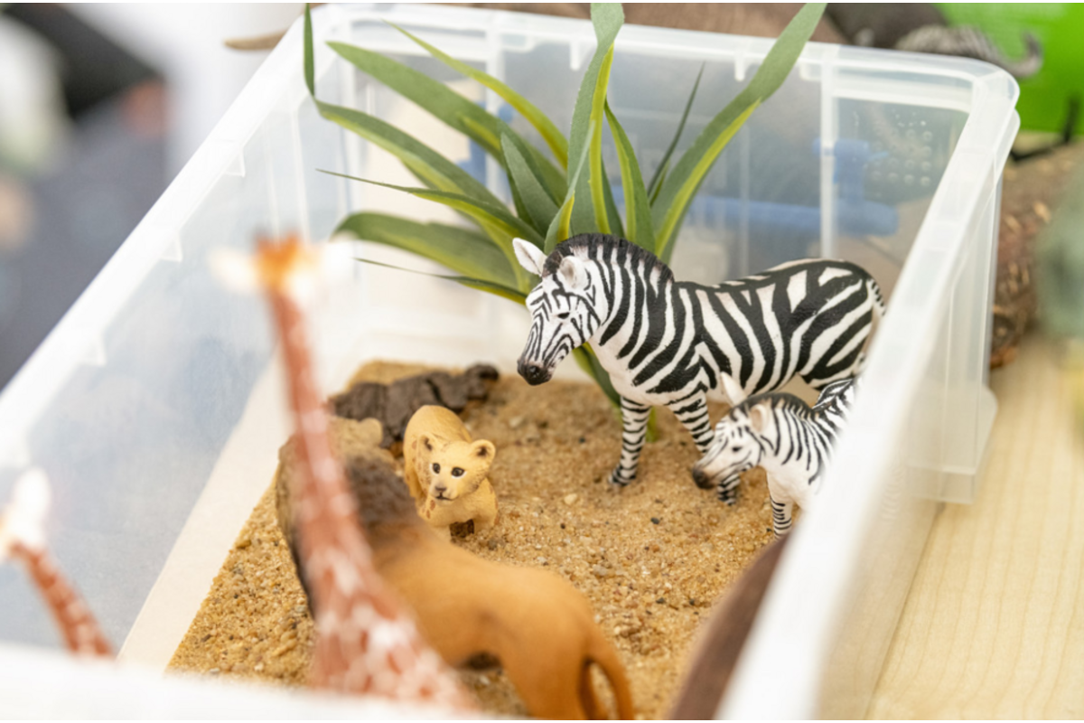 Safaridieren, 13 delig