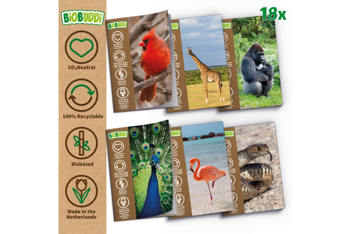 BiOBUDDi Education Big set dieren