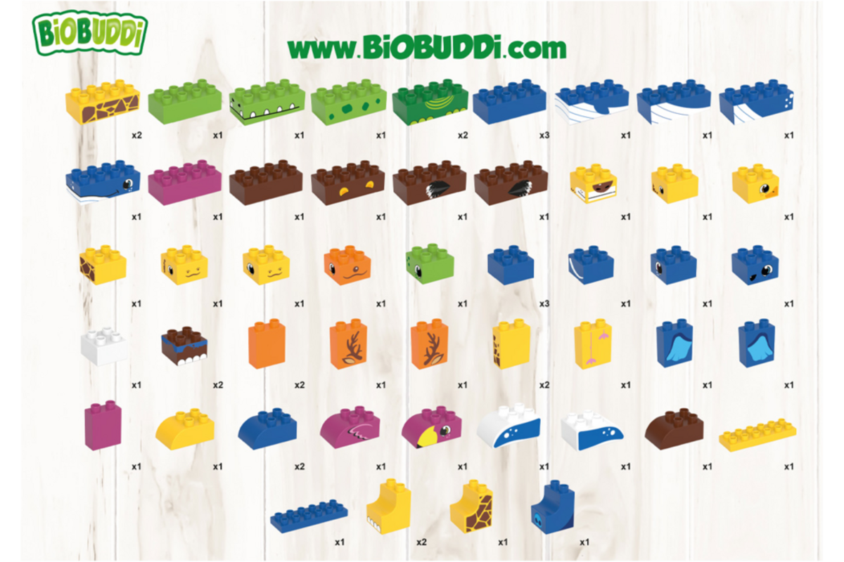 BiOBUDDi Education Big wilde dieren