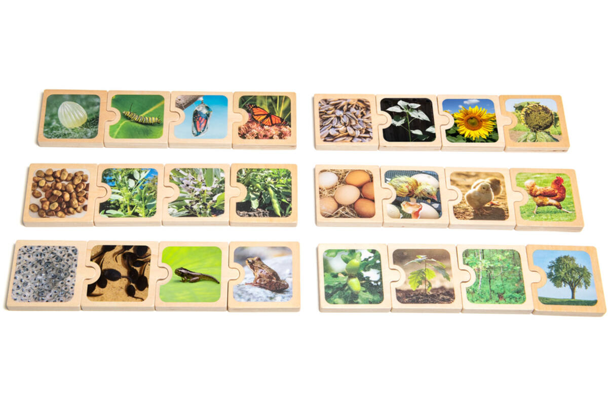 Puzzel levenscycli