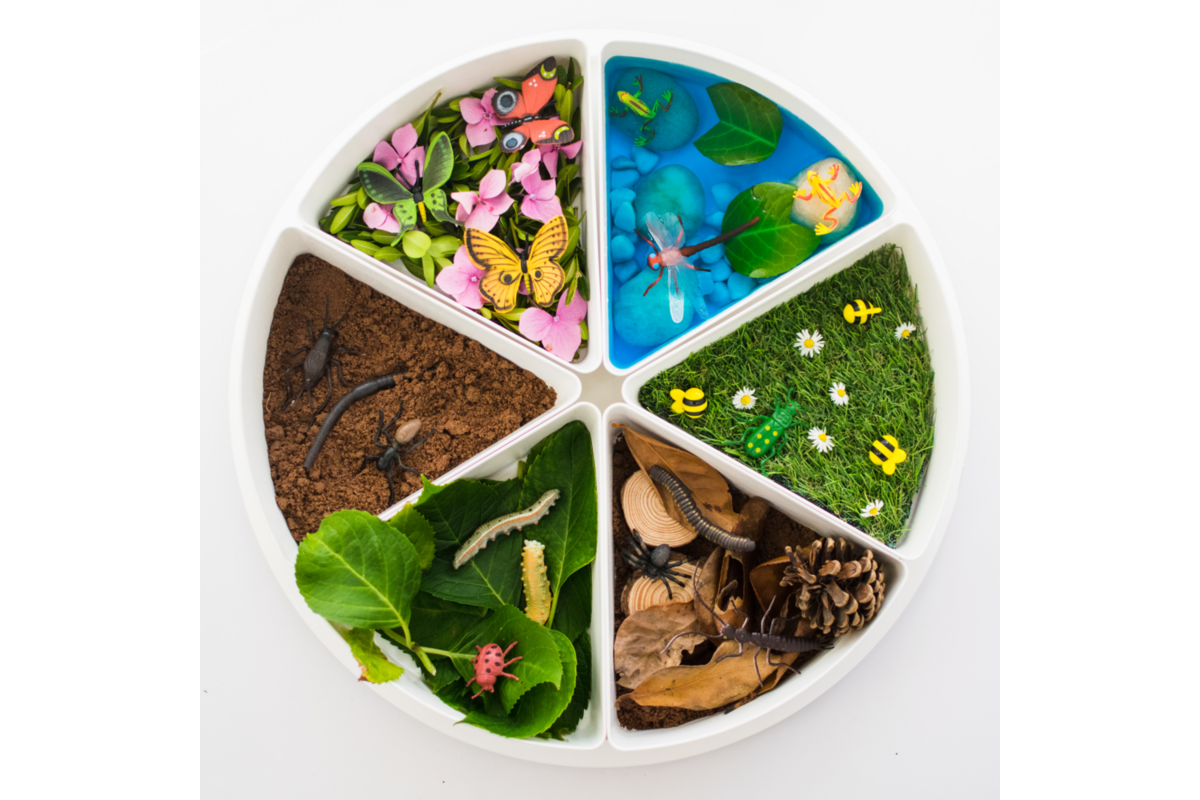PlayTRAY