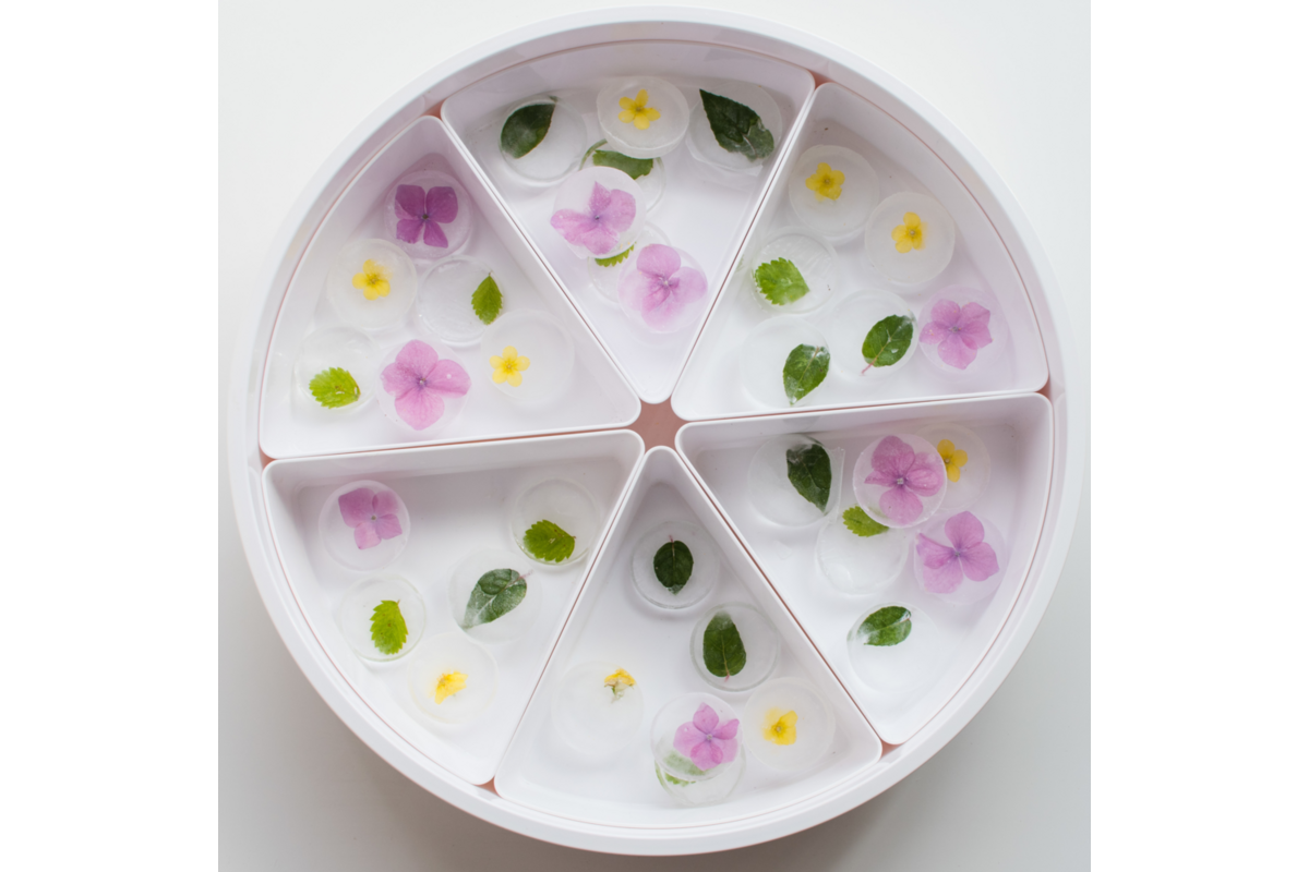PlayTRAY