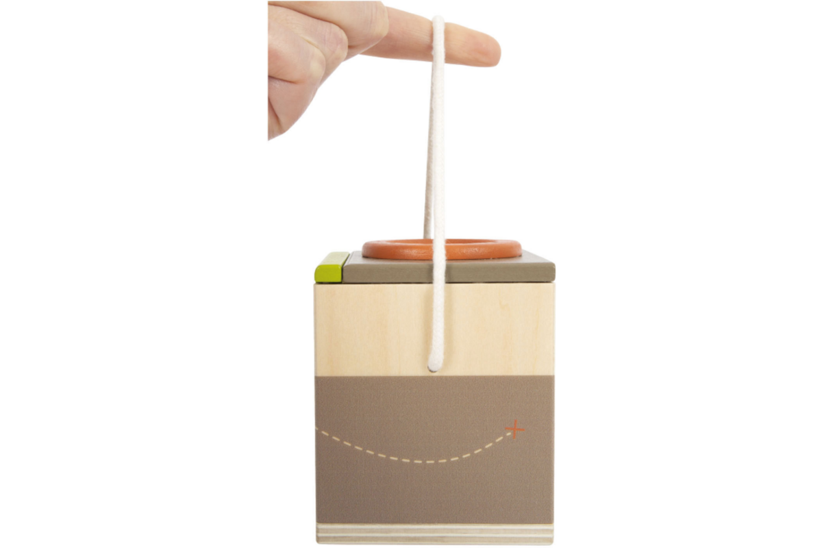 Houten Insectendoos Discover