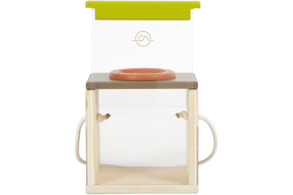 Houten Insectendoos Discover