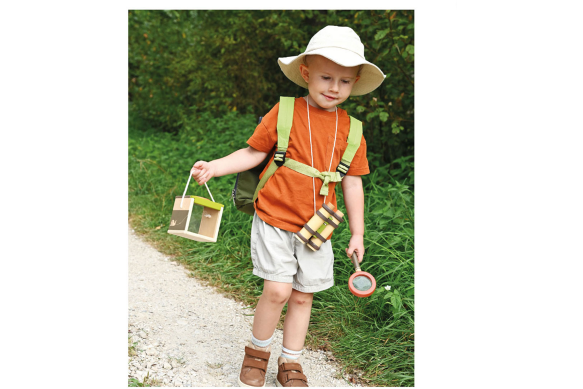 Houten Insectendoos Discover