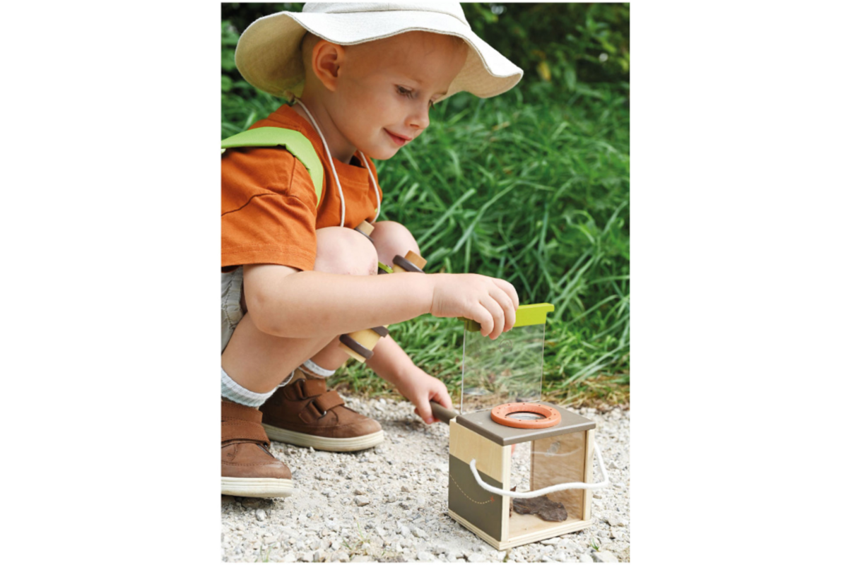Houten Insectendoos Discover