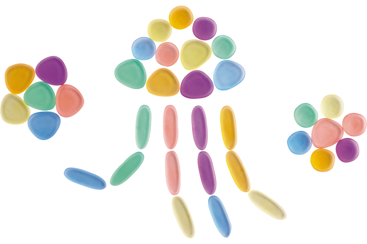 Kiezelstenen Junior in transparante regenboogkleuren