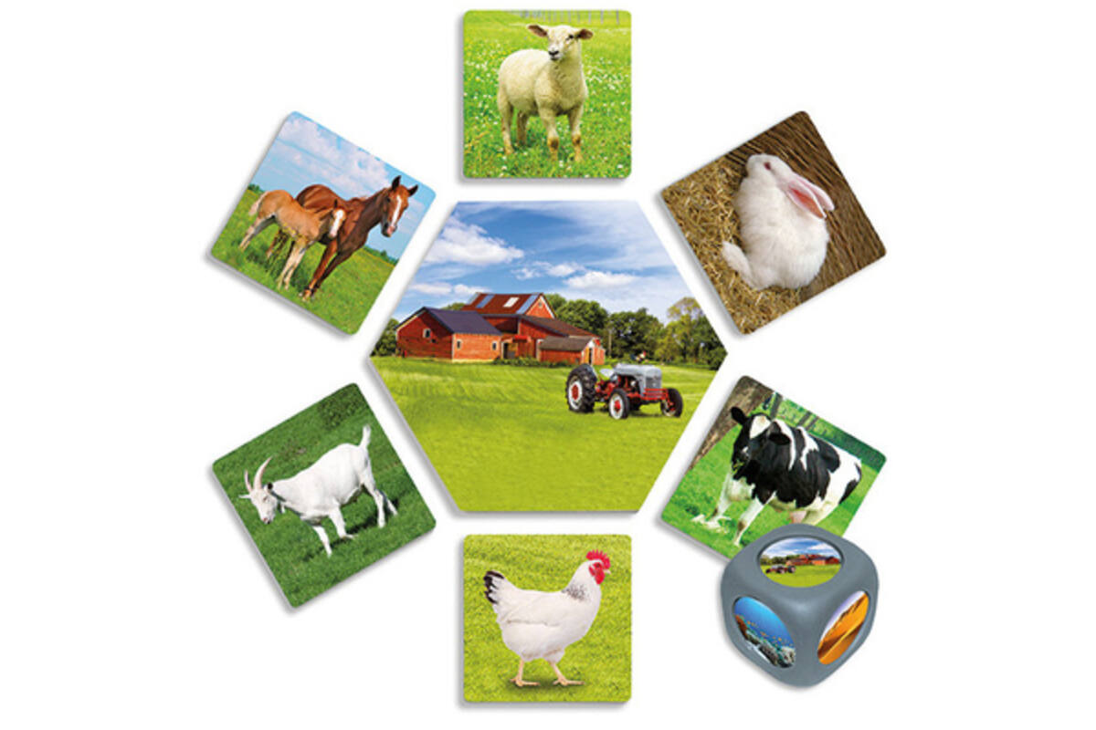 Waar leven dieren?